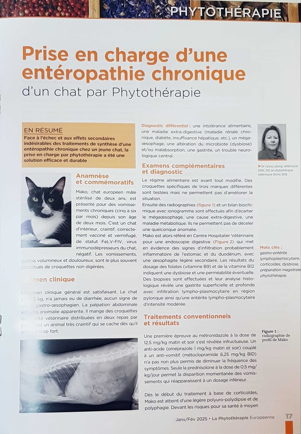 Article Prise en charge d'une entéropathie chronique d'un chat par Phytothérapie