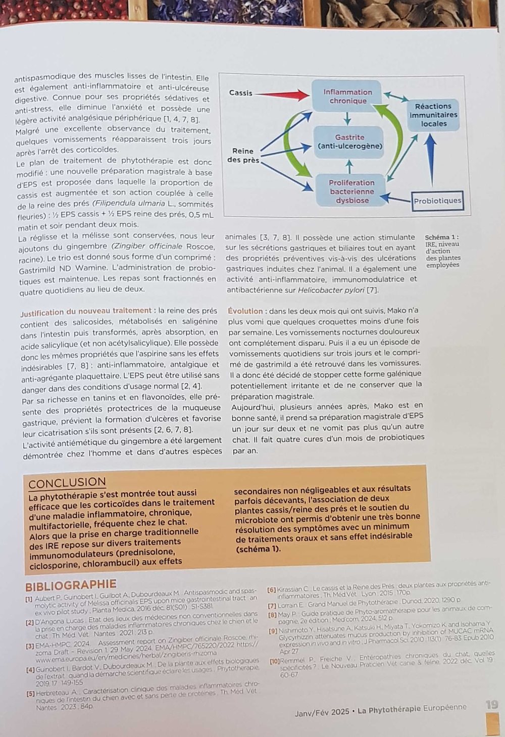 Article Prise en charge d'une entéropathie chronique d'un chat par Phytothérapie